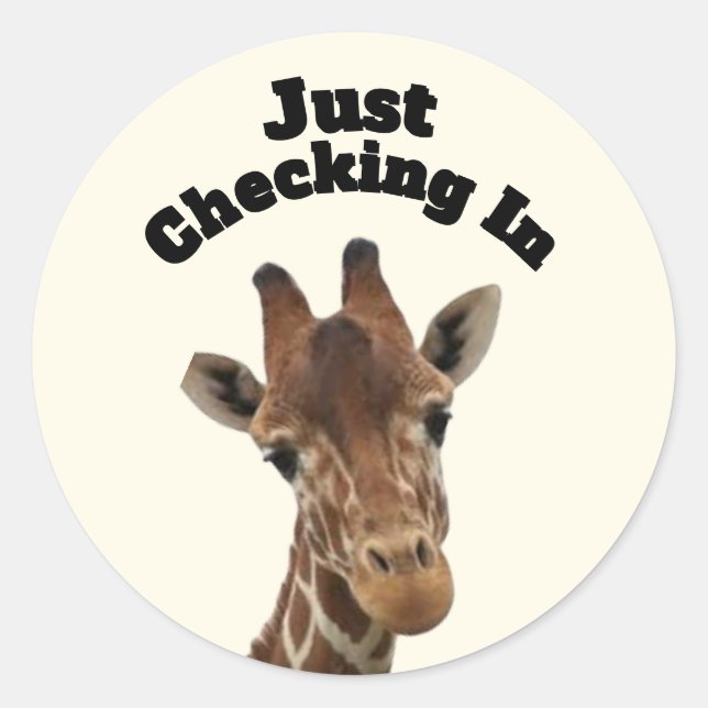 Verificação do adesivo (Frente)