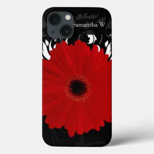 Vermelho brilhante Gerbera Daisy em preto