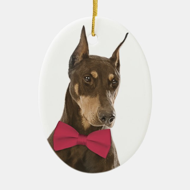 Vermelho e enfeites de natal do Doberman da (Frente)