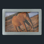 Vermelho Grande<br><div class="desc">Foto do Grande Elefante Vermelho por Kurt Keller mostra um elefante na África coberto de lama vermelha ao lado de um buraco de água tirado em ângulo com uma câmera de 35 mm enquanto no safari, em Botswana. Este elefante caminhou perto do jipe, perto o suficiente para tocar! Quem ama...</div>