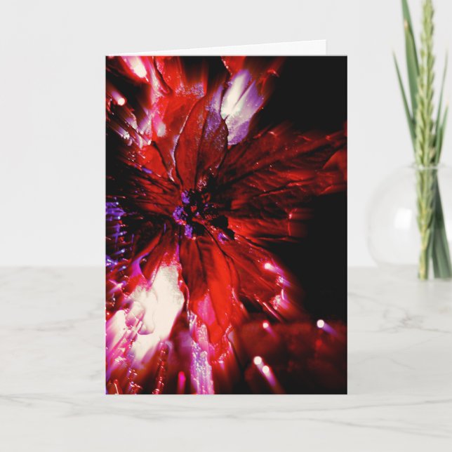 vermelho único no cartão de Natal preto (Frente)