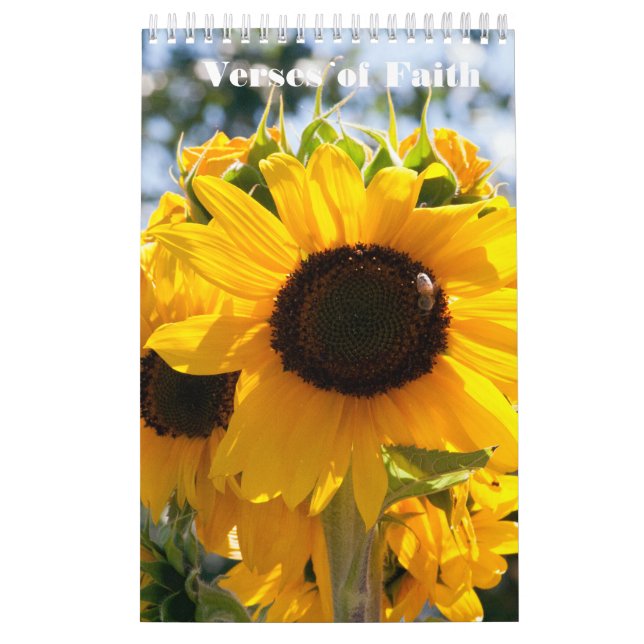 Versos do calendário da fotografia da fé (Capa)