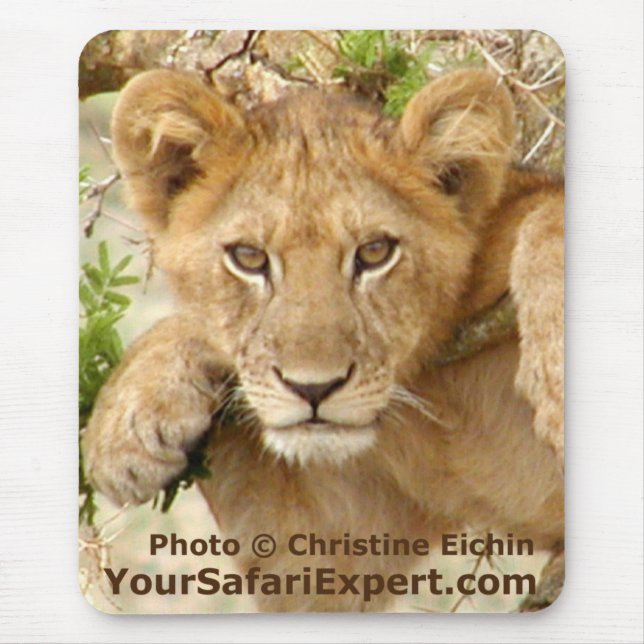 Vertical Mousepad de Cub de leão (Frente)