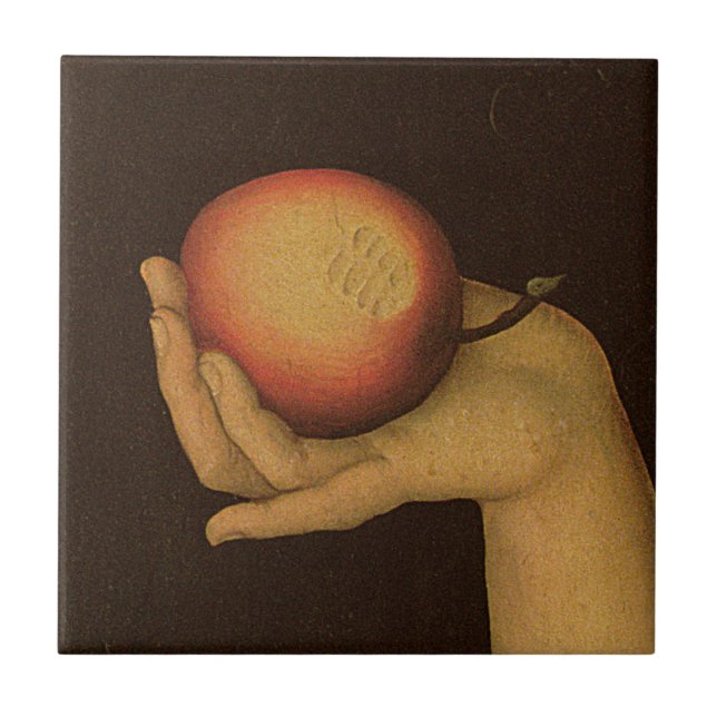 Véspera, 1528 (Frente)