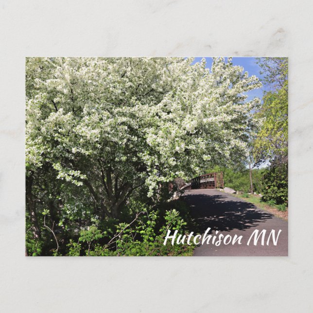 Veterans Memorial Park Hutchinson MN cartão postal (Frente)