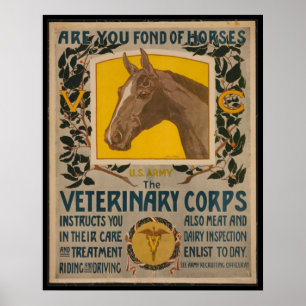 Veterinário do VINTAGE WW1. POSTER do corpo