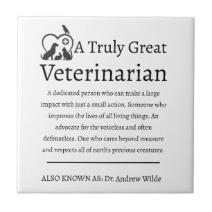 Veterinário Excelente