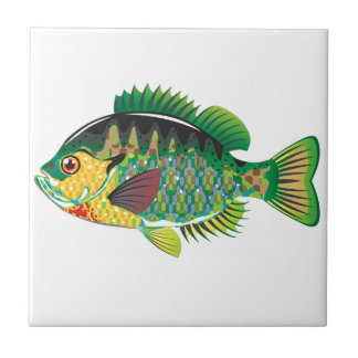 Vetor do Panfish do Bluegill