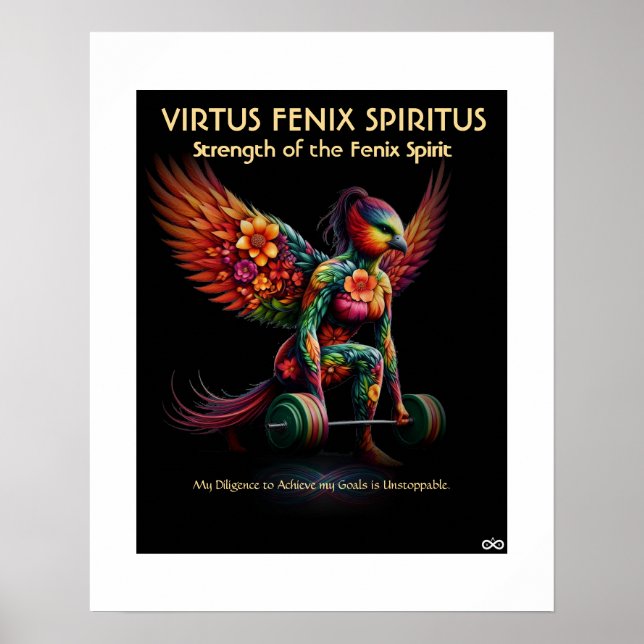 VFS-22P - POSTER (Frente)