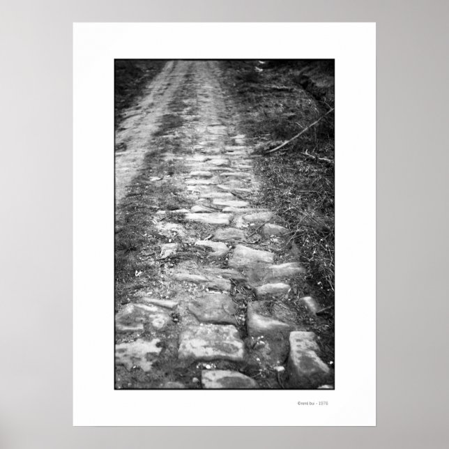 VIA ROMANA Poster (Frente)