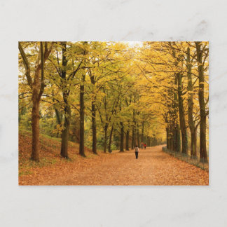 Viagem coletando cartão postal 28