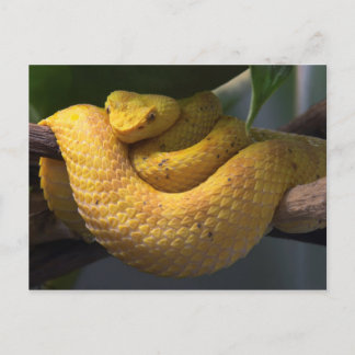 Viagem coletor de cartão postal 2