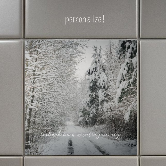 Viagem de inverno através da floresta (Criador carregado)