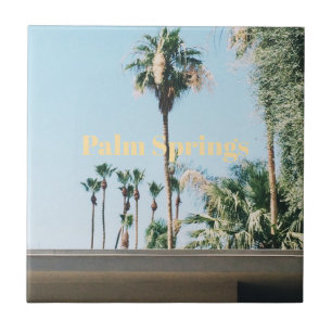 Viagem de Souvenir de Palm Springs