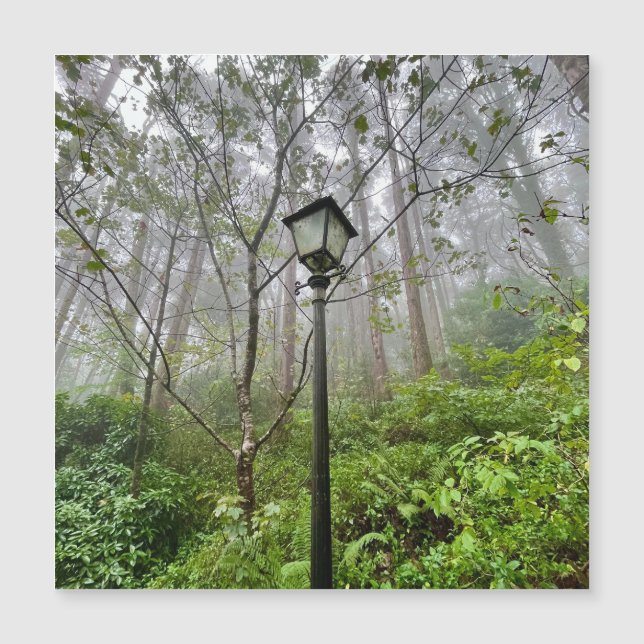 Víberes portugueses (Frente)