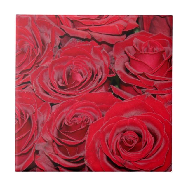Vibrant Red Roses  (Frente)