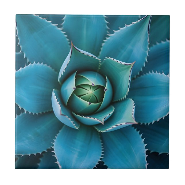 Vibrant Teal Agave Succulent Macro Geometric  (Frente)