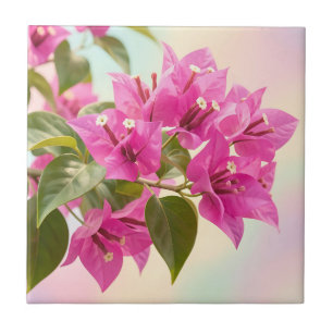 Vibrante Bougainvillea Rosa Tropical Floral