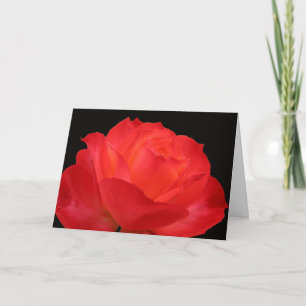 Vibrante cartão do dia das mães rosa laranja-verme