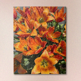 Vibrante Quebra-Cabeça de Tulipa Calypso Laranja B