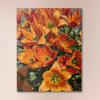 Vibrante Quebra-Cabeça de Tulipa Calypso Laranja B