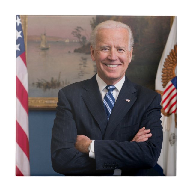 Vice-Presidente Joe Biden, Presidência de Obama (Frente)