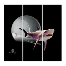 Vicioso Chihuahua Perseguindo Um Tubarão Terrível