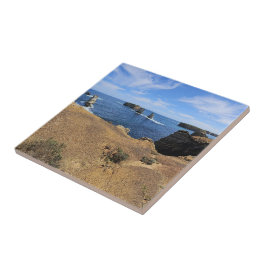 Victoria’s Bay of Islands Coastal Panorama