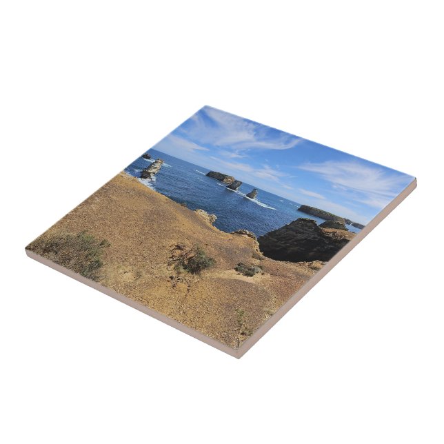 Victoria’s Bay of Islands Coastal Panorama (Lateral)