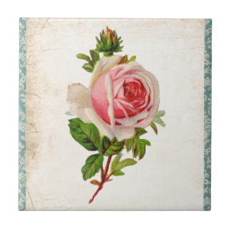 Victorian cor-de-rosa e damasco