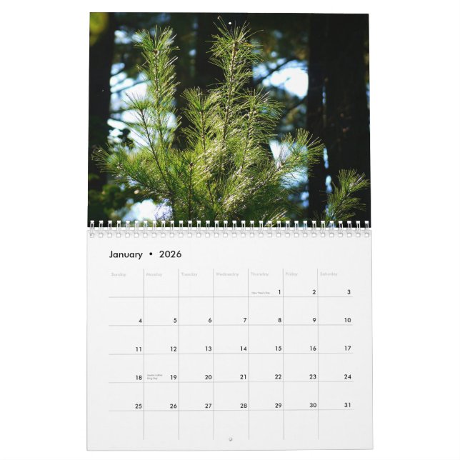 vida 2015 em torno de nós calendário (Jan 2026)