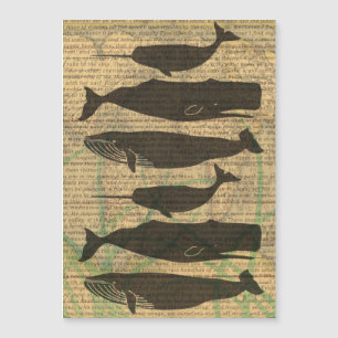 Vida marítima náutica antiaérea de baleia