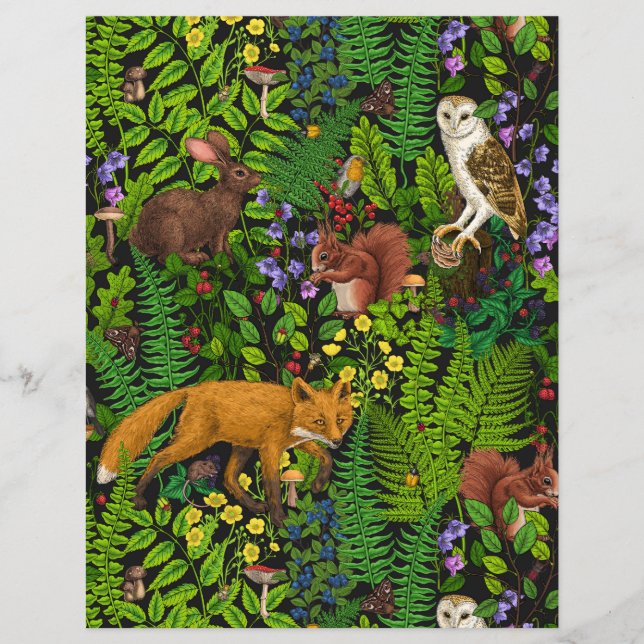 Vida na floresta (Frente)