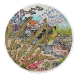 Vida no Mar Costeiro Moray Eel Fish Underwater Mar