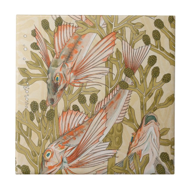 Vida no Mar de Peixes Animais Submarinos (Frente)