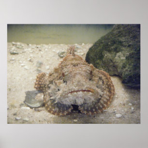 Vida no Mar do Alabama nº 2 Poster