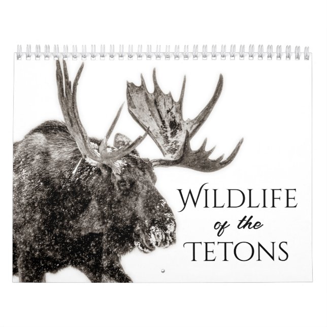 Vida Selvagem Do Calendário Tetons (Capa)