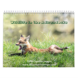 Vida selvagem no Calendário Adirondacks 2024