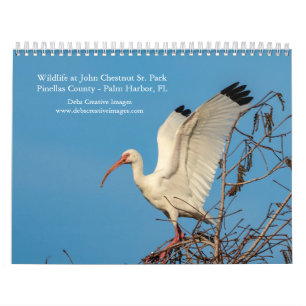 Vida selvagem no Calendário de John Chestnut Sr.