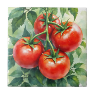 Videira de Tomate Madura Aquarela Fresca