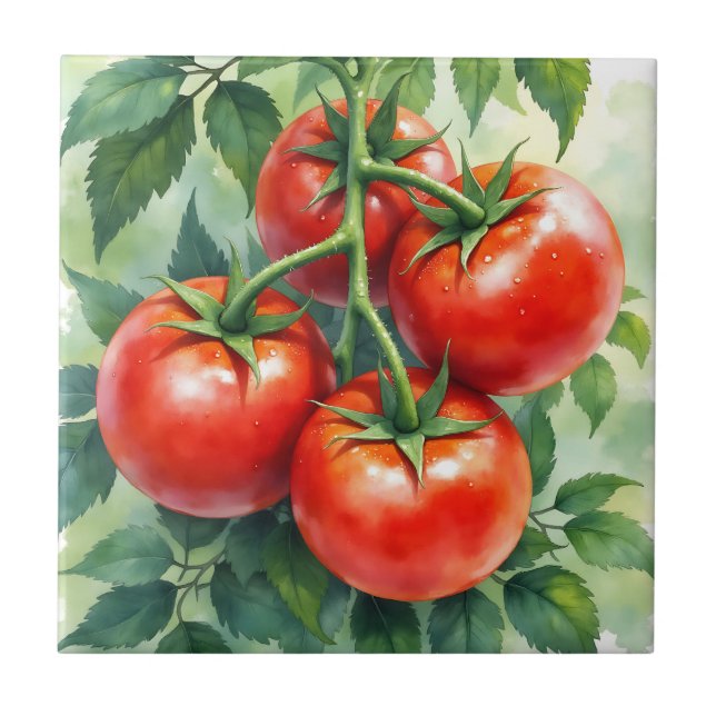 Videira de Tomate Madura Aquarela Fresca (Frente)