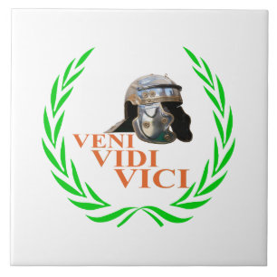 Vidi Vici