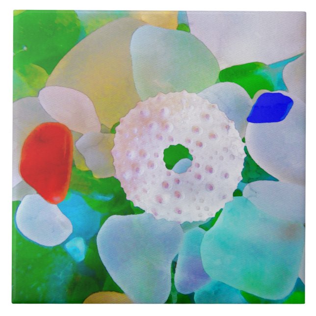 Vidro do mar e diabrete de mar Shell (Frente)