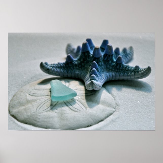 Vidro no Impressão Dólar (Frente)