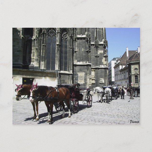 Viena, Áustria, Cartão postal de Viagem Steffensdo (Frente)