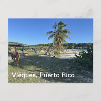 Vieques, cartão postal Porto Rico