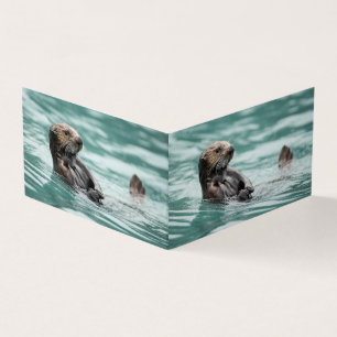 Vigiando a lontra marítima