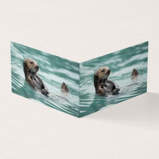 Vigiando a lontra marítima