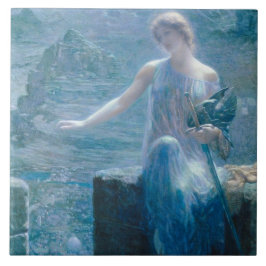 Vigil da Valquíria (Senhora Elegante num Castelo)