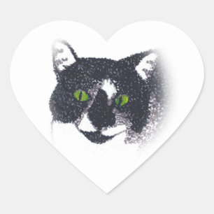 Vigneta dos adesivos de rosto de gato Tuxedo